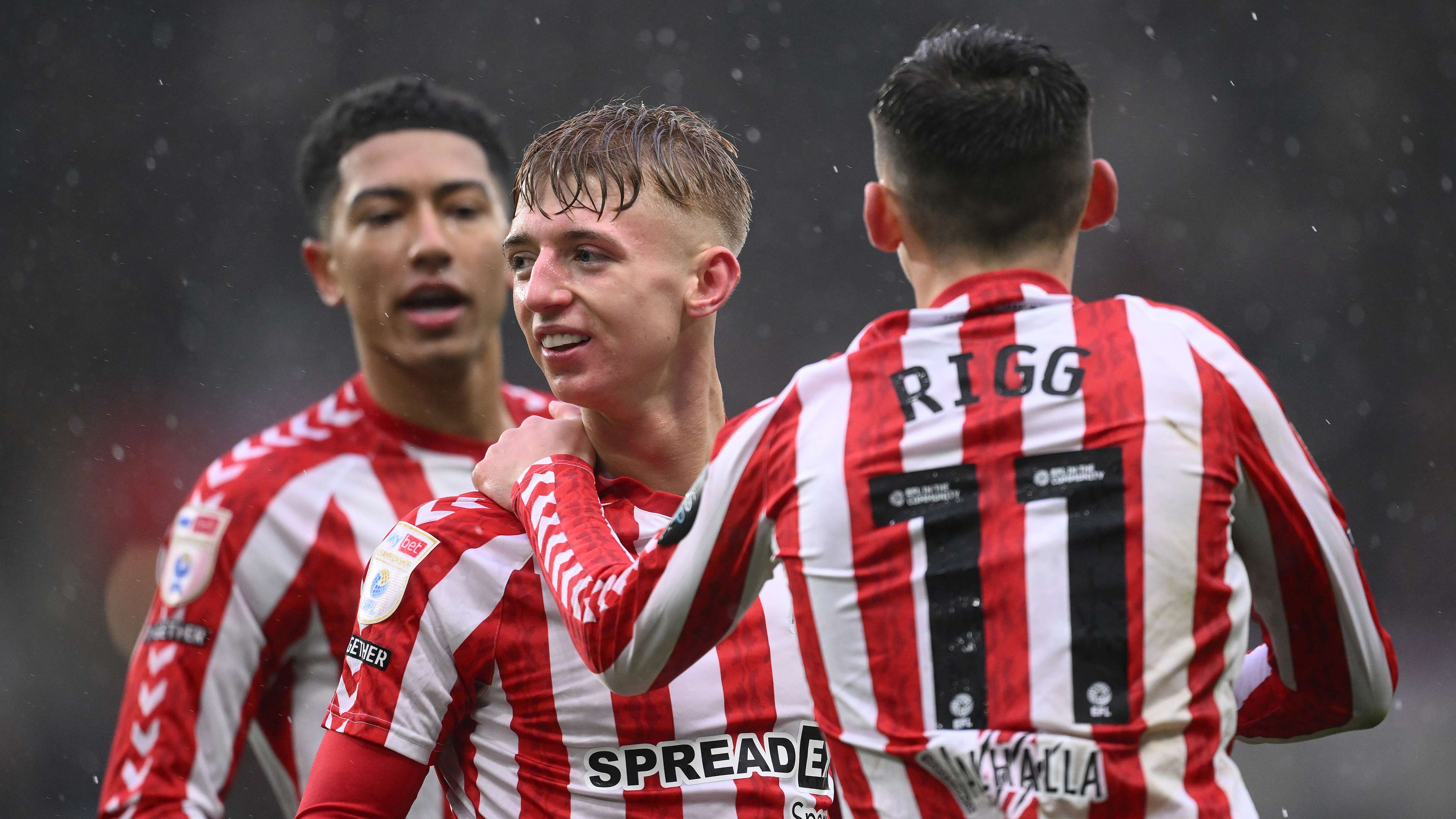 动明星在商 动明星在商