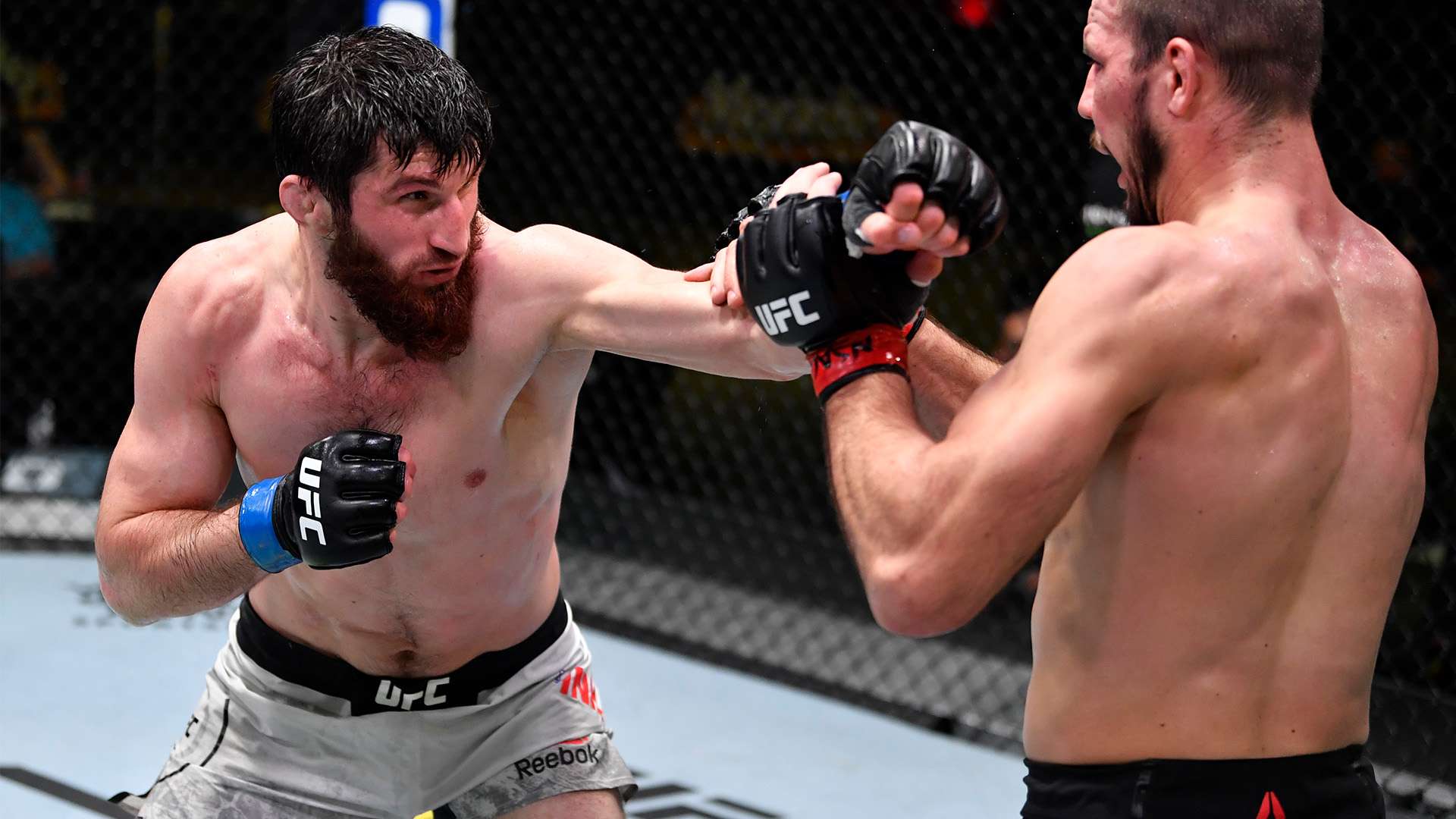 长远发展的 长远发展的