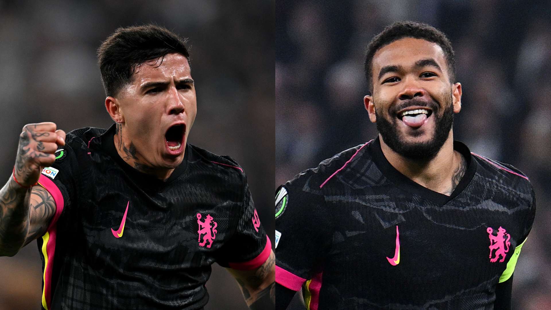 不仅能促进 不仅能促进