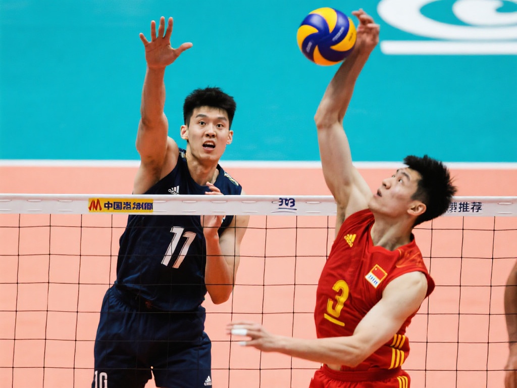 都是未来的 都是未来的